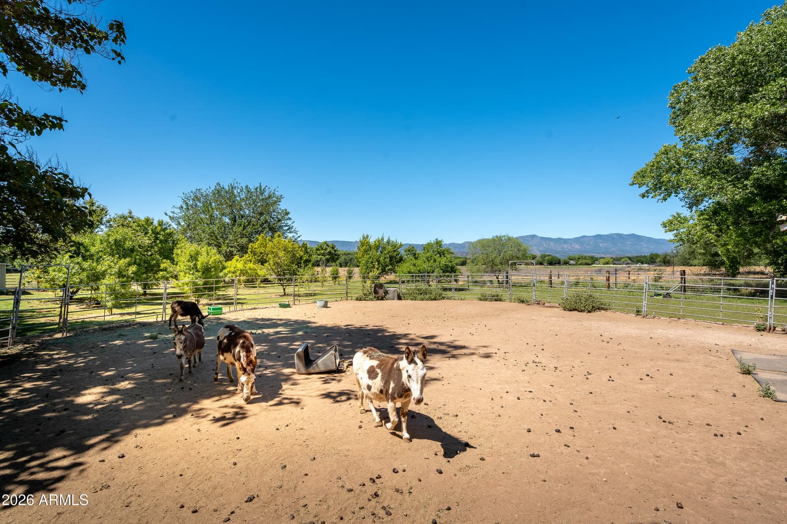 2933 W MIDDLE VERDE Road, Camp Verde, AZ 86322 — photo 51 of 71