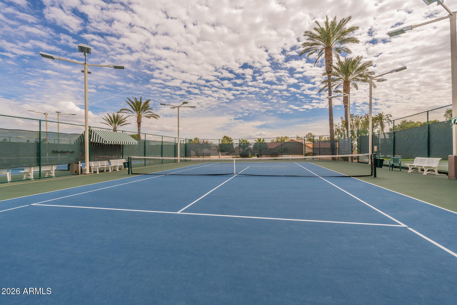 26417 S TRURO Drive, Sun Lakes, AZ 85248 — photo 57 of 59
