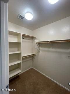 11266 W HARRISON Street, Avondale, AZ 85323 — photo 40 of 46