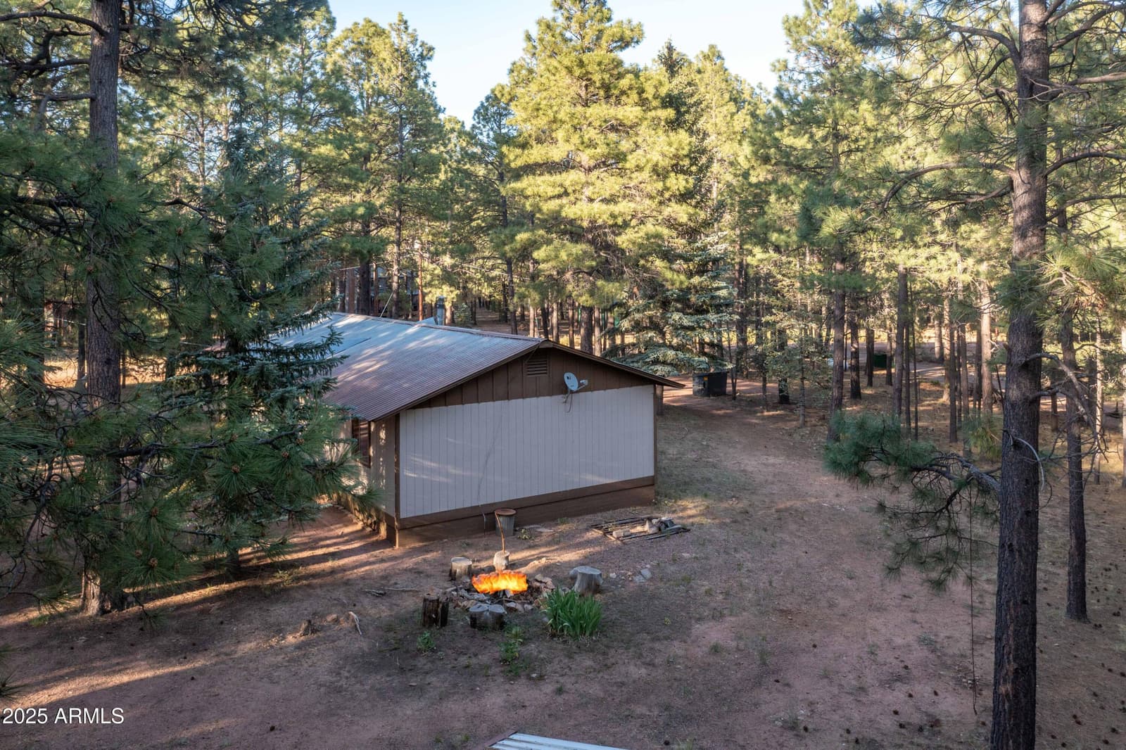 2190 Old Rim Road, Forest Lakes, AZ 85931 — photo 22 of 43