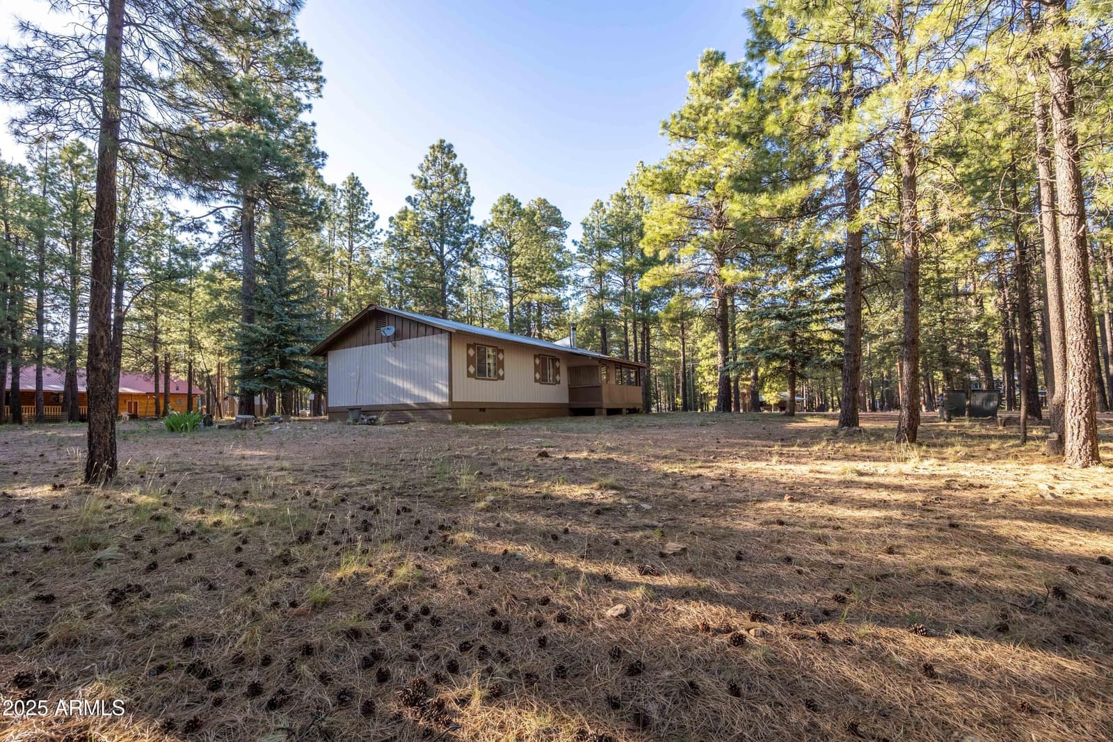 2190 Old Rim Road, Forest Lakes, AZ 85931 — photo 35 of 43
