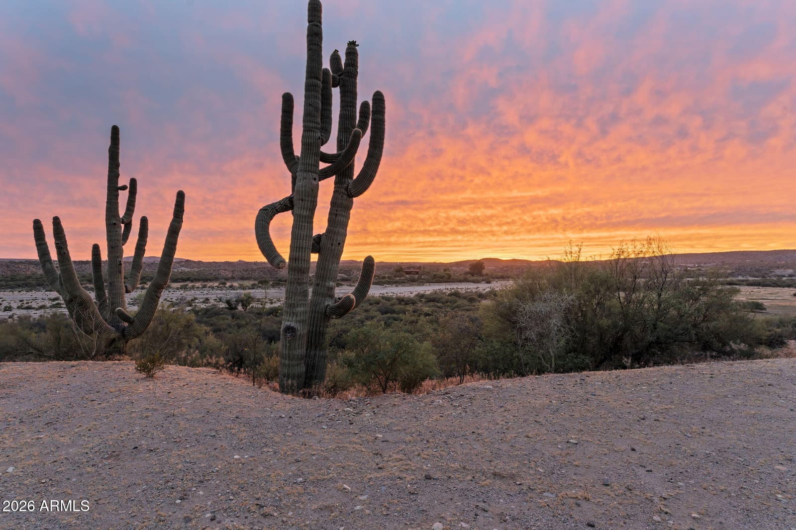 37455 S RINCON Road, Wickenburg, AZ 85390 — photo 52 of 91