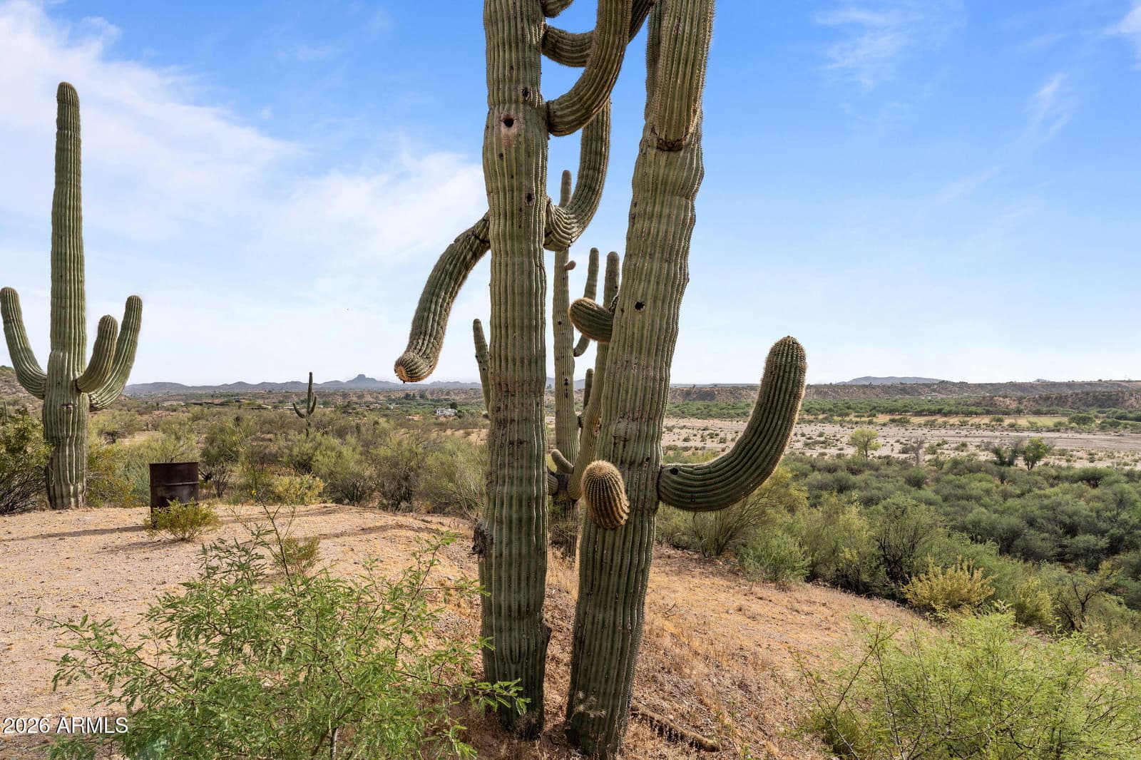 37455 S RINCON Road, Wickenburg, AZ 85390 — photo 91 of 91