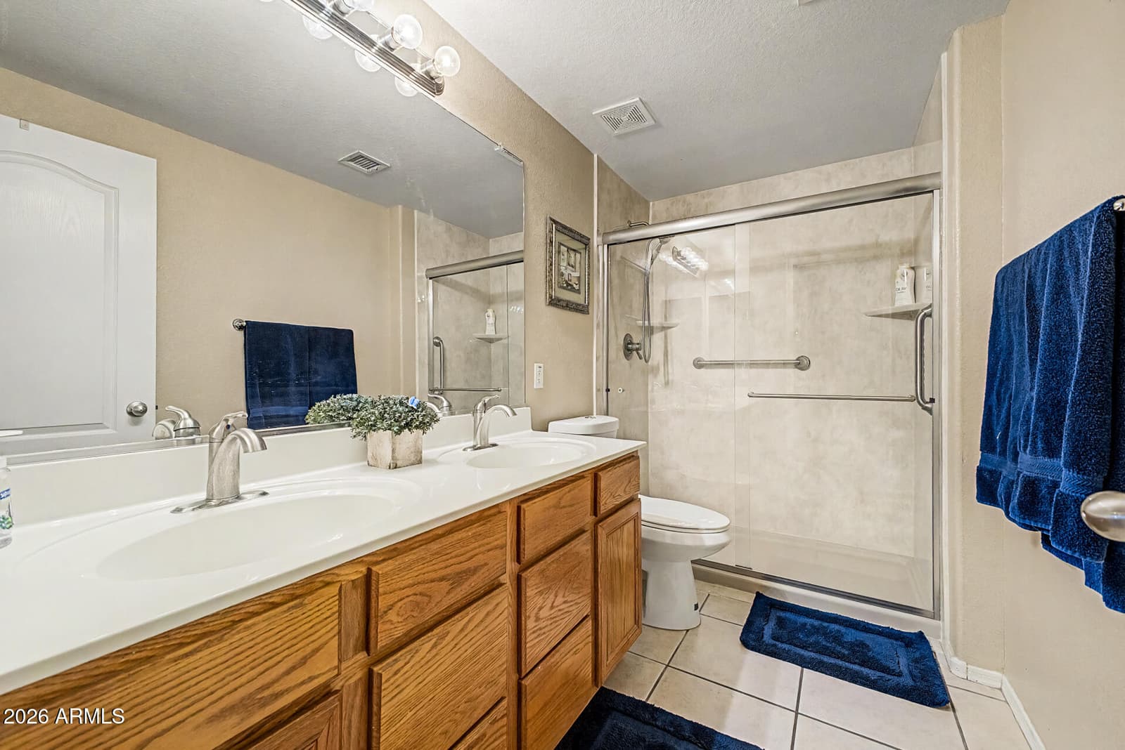 11498 S MORNINGSIDE Drive, Goodyear, AZ 85338 — photo 33 of 46