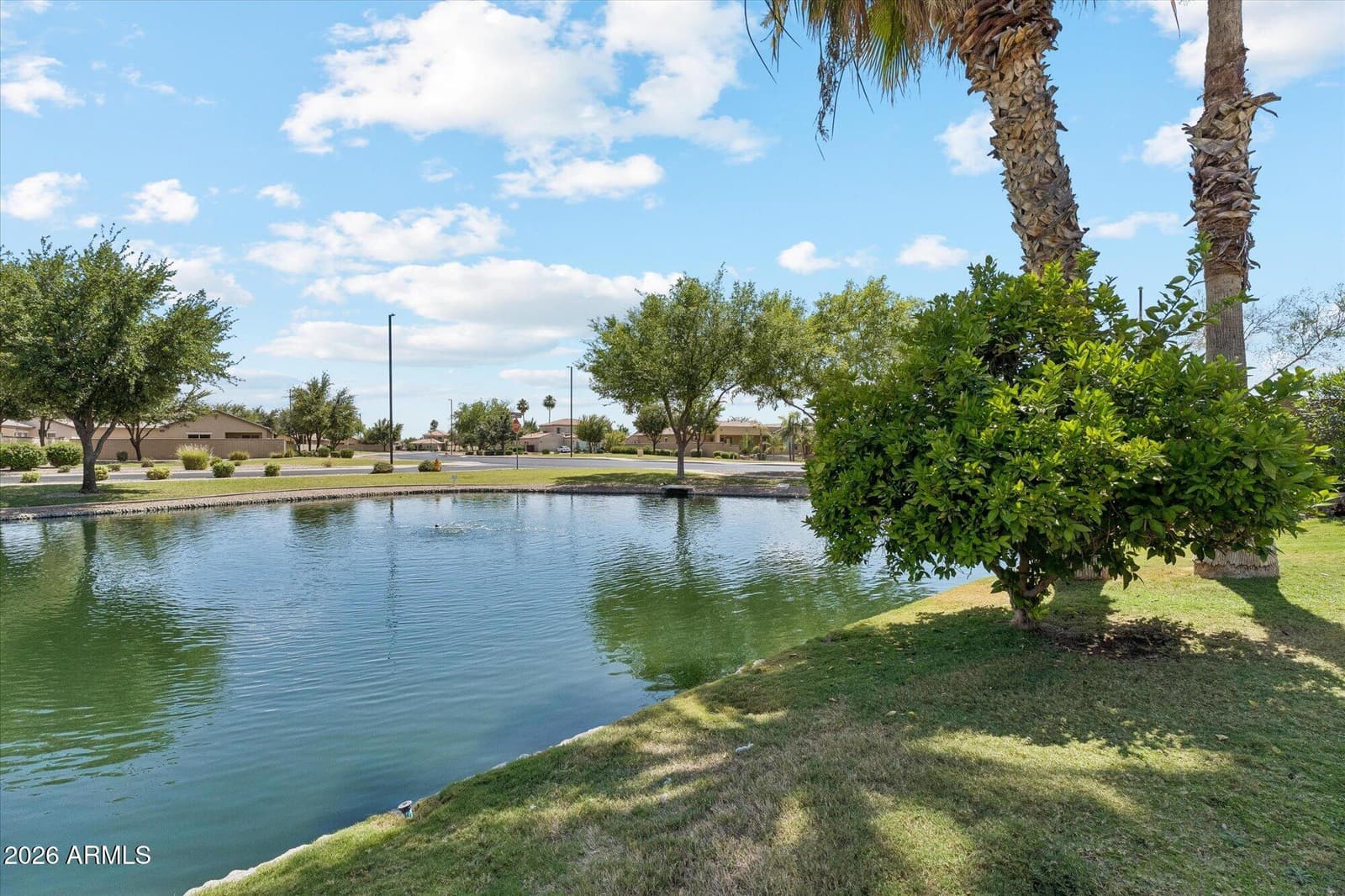 837 E Torrey Pines Place, Chandler, AZ 85249 — photo 55 of 59
