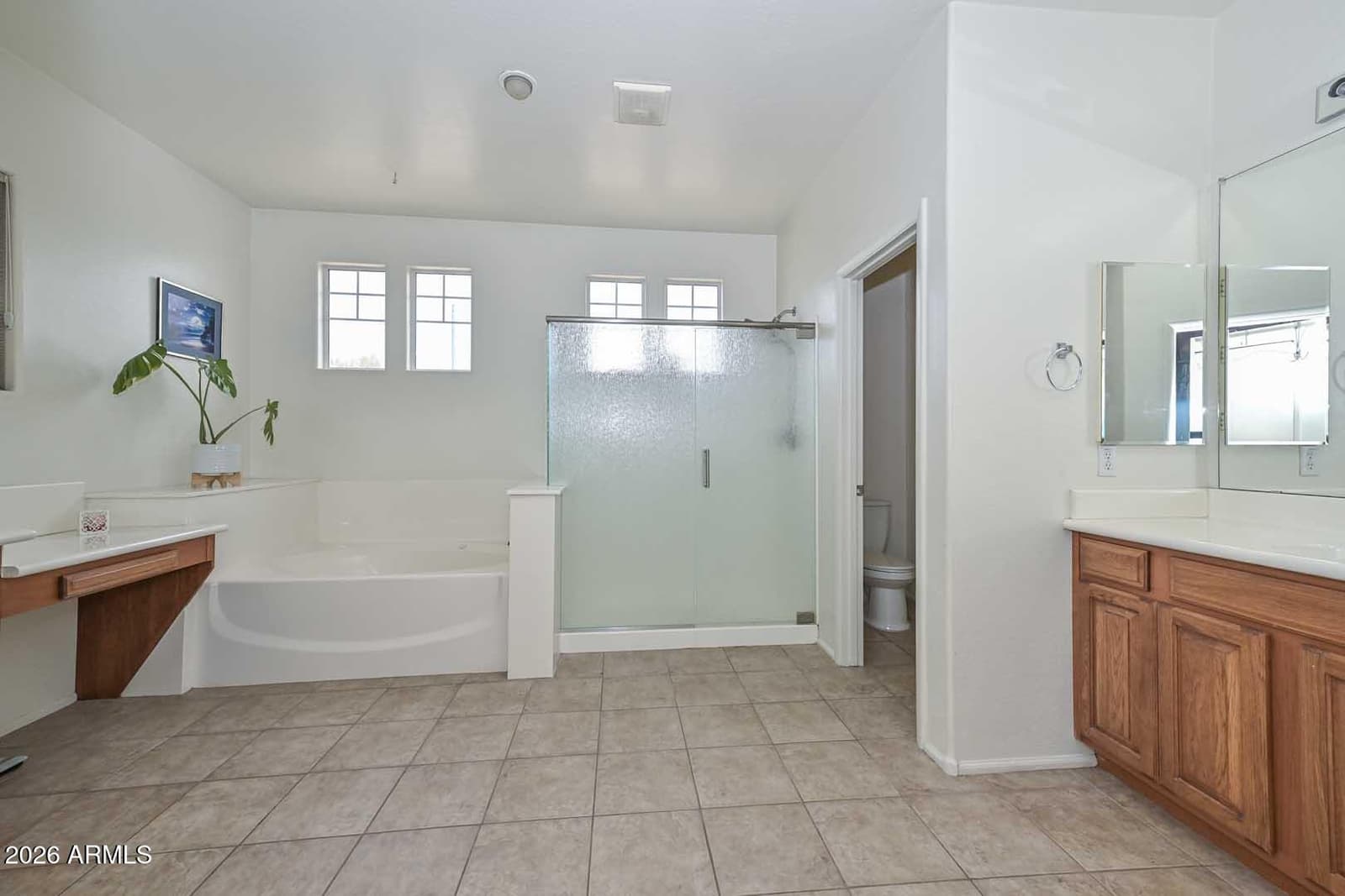 10519 W ALEX Avenue, Peoria, AZ 85382 — photo 34 of 53