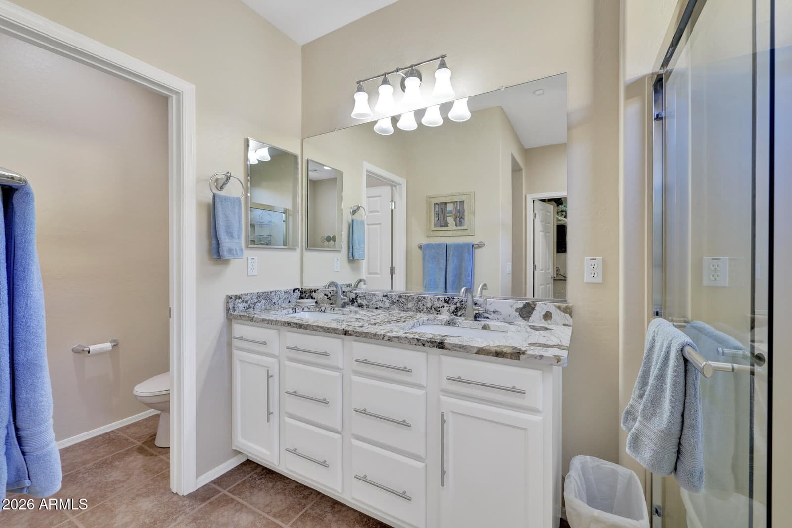 12423 W HEDGE HOG Place, Peoria, AZ 85383 — photo 26 of 81