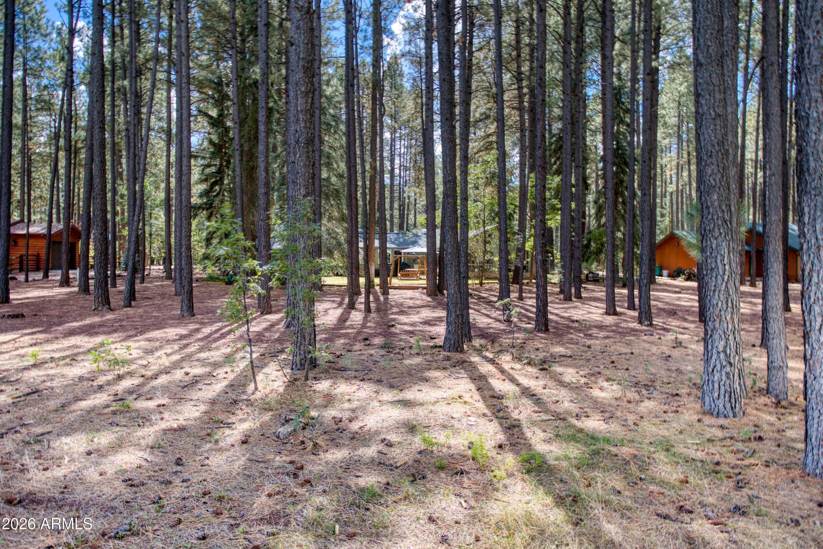 7510 Geronimo Road, Pinetop, AZ 85935 — photo 36 of 41