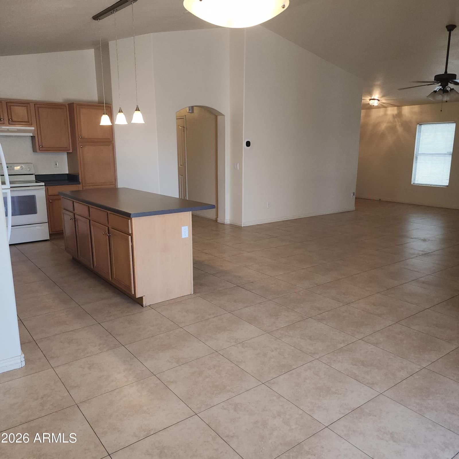 12821 W DREYFUS Drive, El Mirage, AZ 85335 — photo 3 of 19