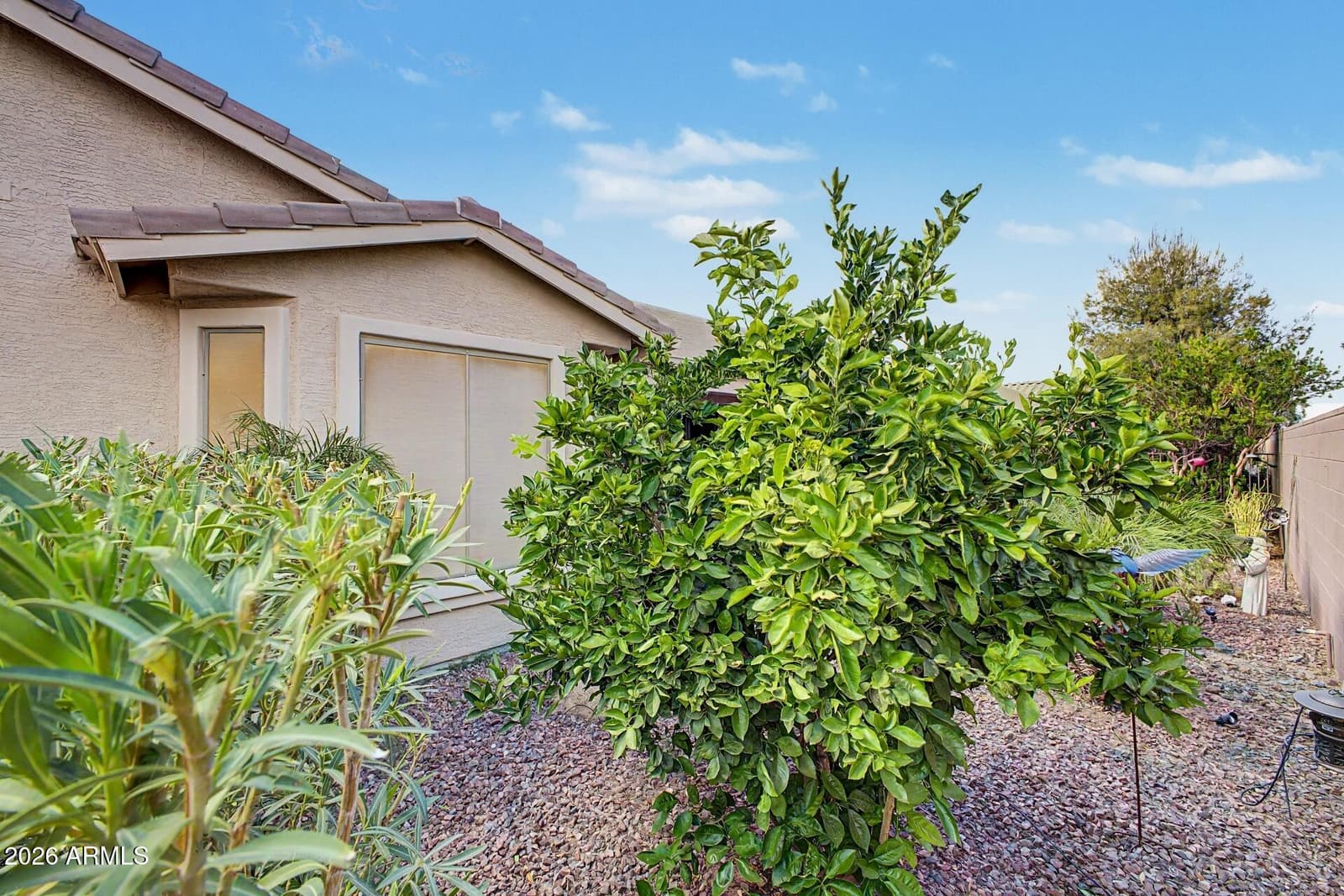 41975 W ELLINGTON Lane, Maricopa, AZ 85138 — photo 42 of 44