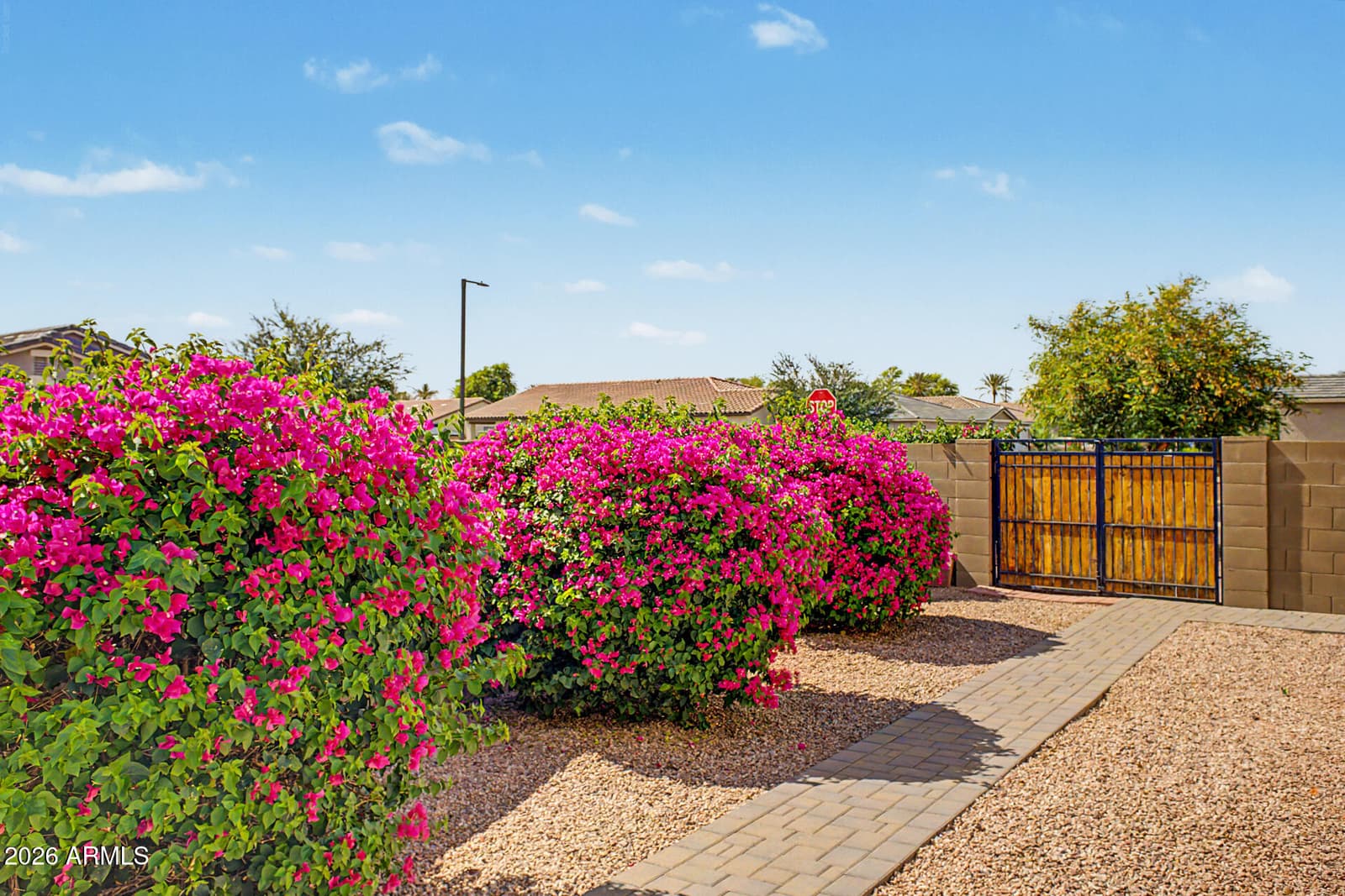 185 W JAMAICA Place, Casa Grande, AZ 85122 — photo 38 of 48