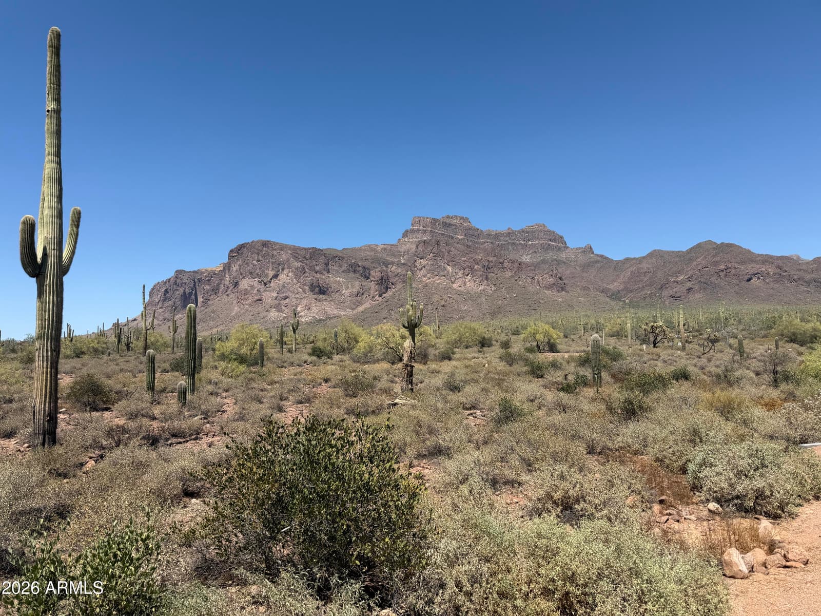 53 N La Barge Road, Apache Junction, AZ 85119 — photo 41 of 42