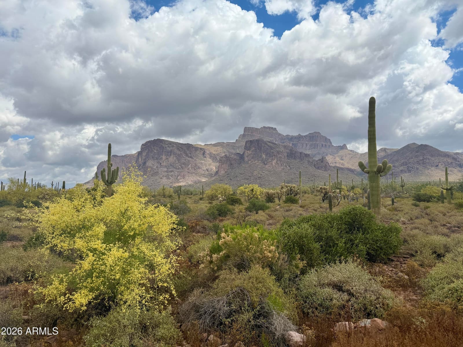 53 N La Barge Road, Apache Junction, AZ 85119 — photo 42 of 42