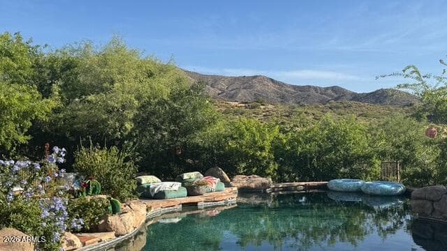 42421 N Deer Trail Road, Cave Creek, AZ 85331 — photo 4 of 58