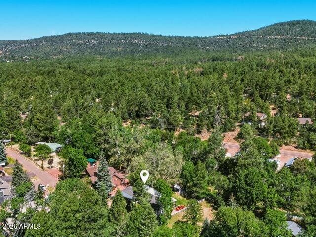 8206 W PARKINSON Drive, Strawberry, AZ 85544 — photo 50 of 65