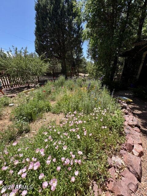8206 W PARKINSON Drive, Strawberry, AZ 85544 — photo 58 of 65