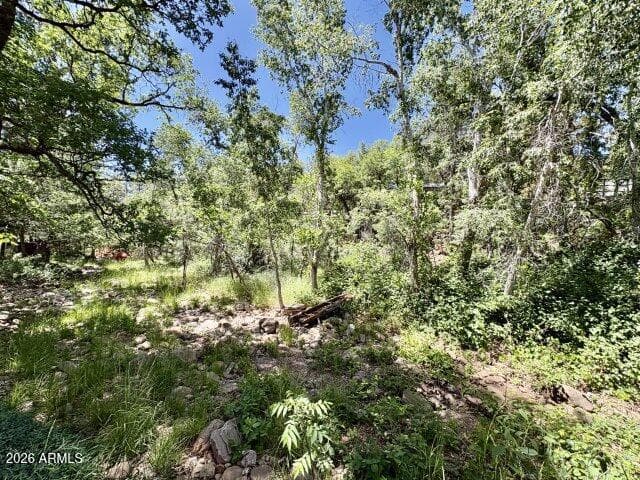 8206 W PARKINSON Drive, Strawberry, AZ 85544 — photo 39 of 65