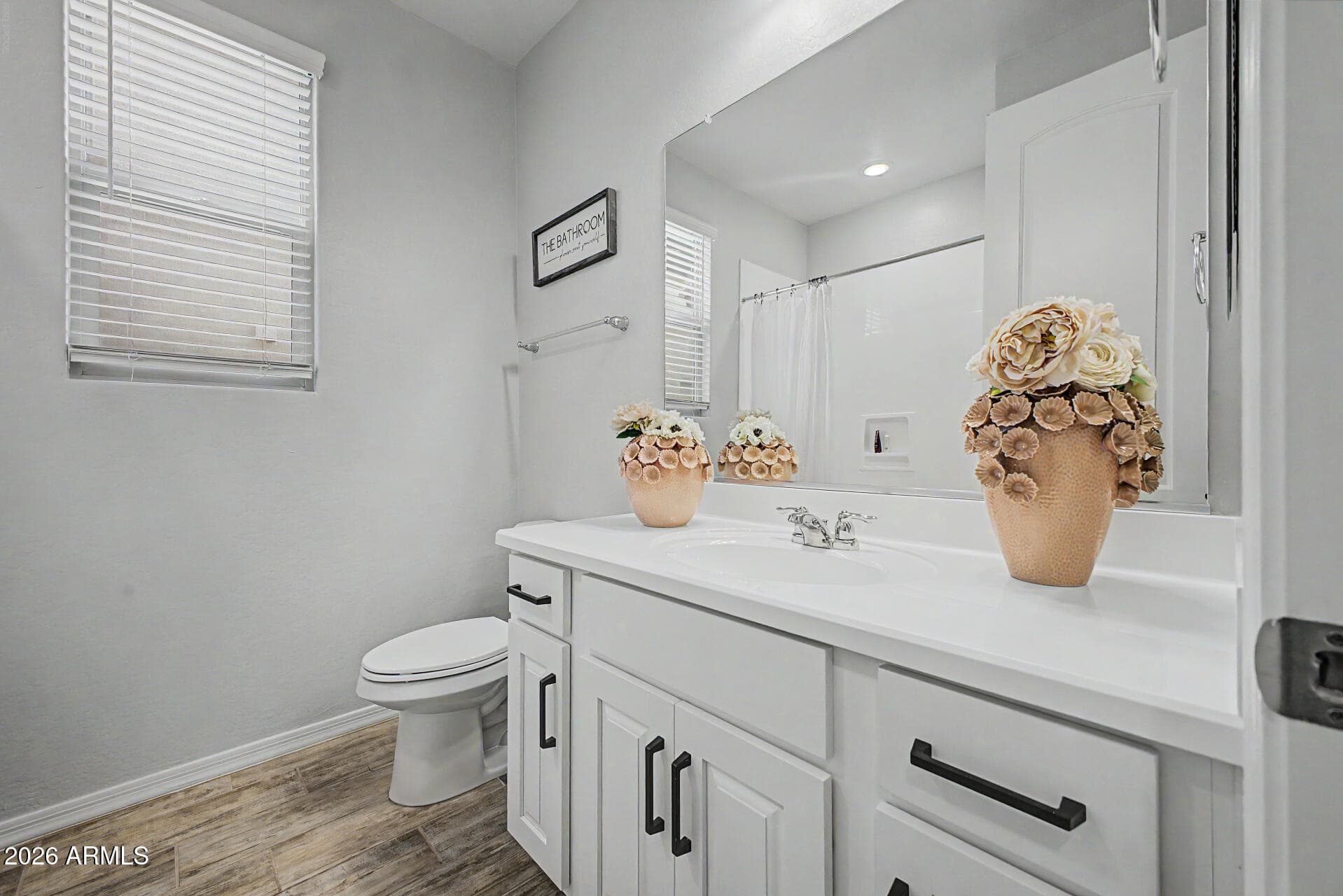 23864 N 162ND Lane, Surprise, AZ 85387 — photo 11 of 33