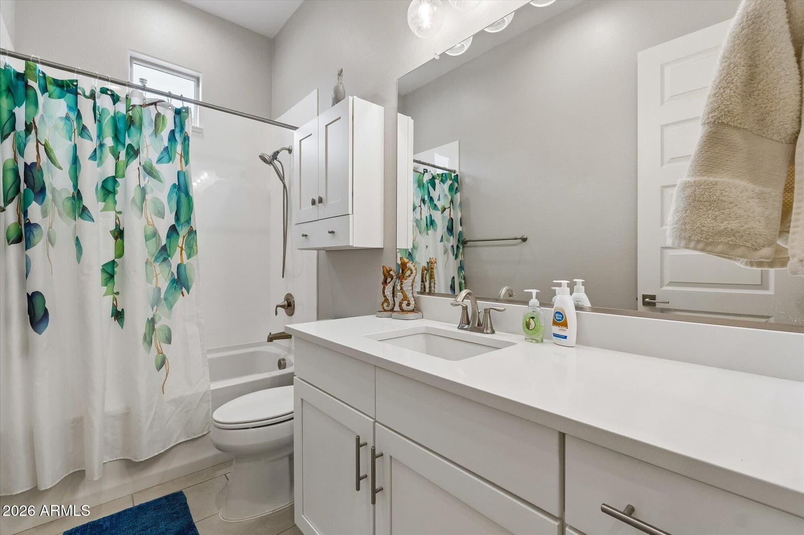 41317 W ALMIRA Drive, Maricopa, AZ 85138 — photo 12 of 19
