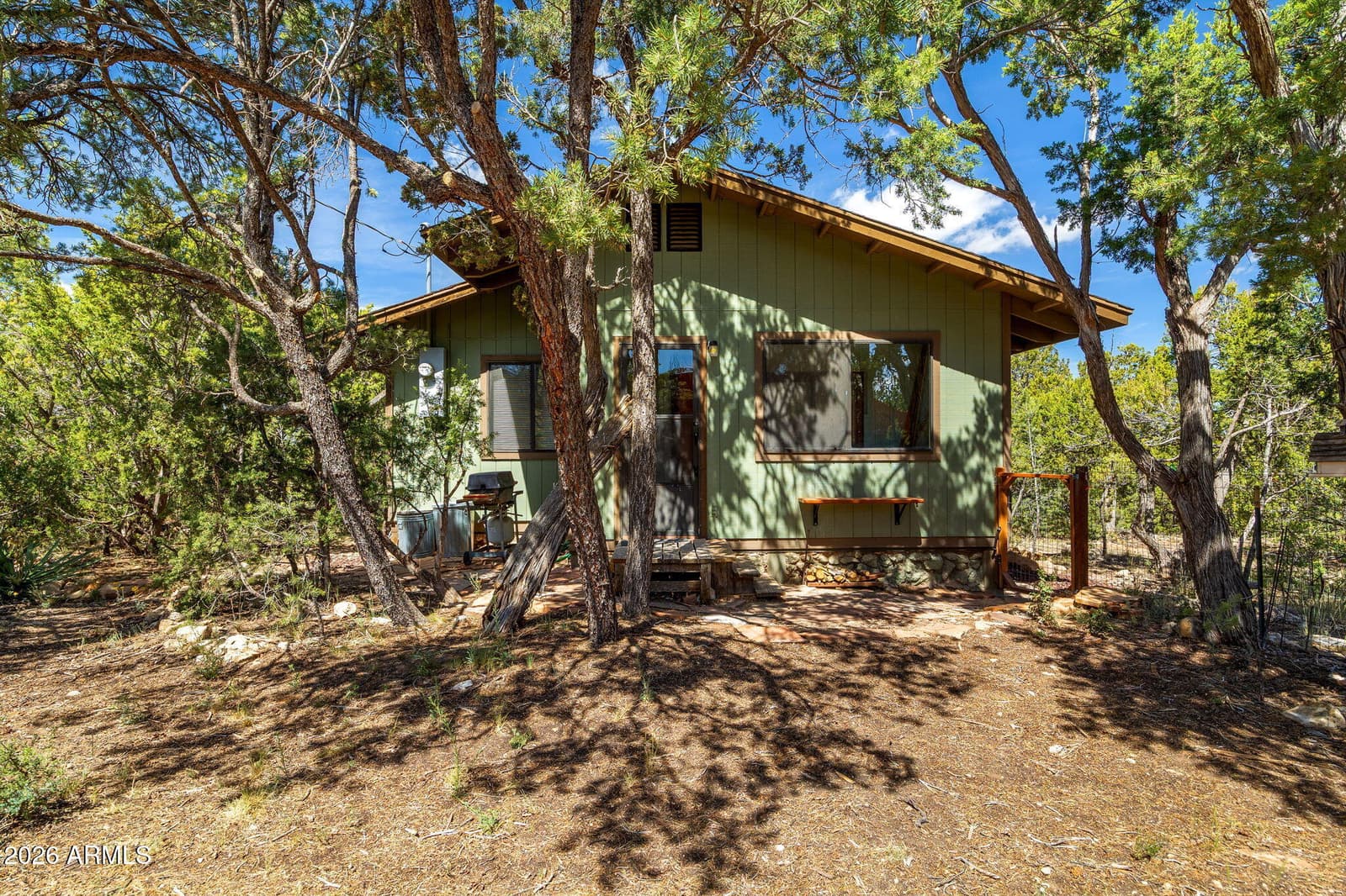 3563 STARLITE Drive, Overgaard, AZ 85933 — photo 6 of 29