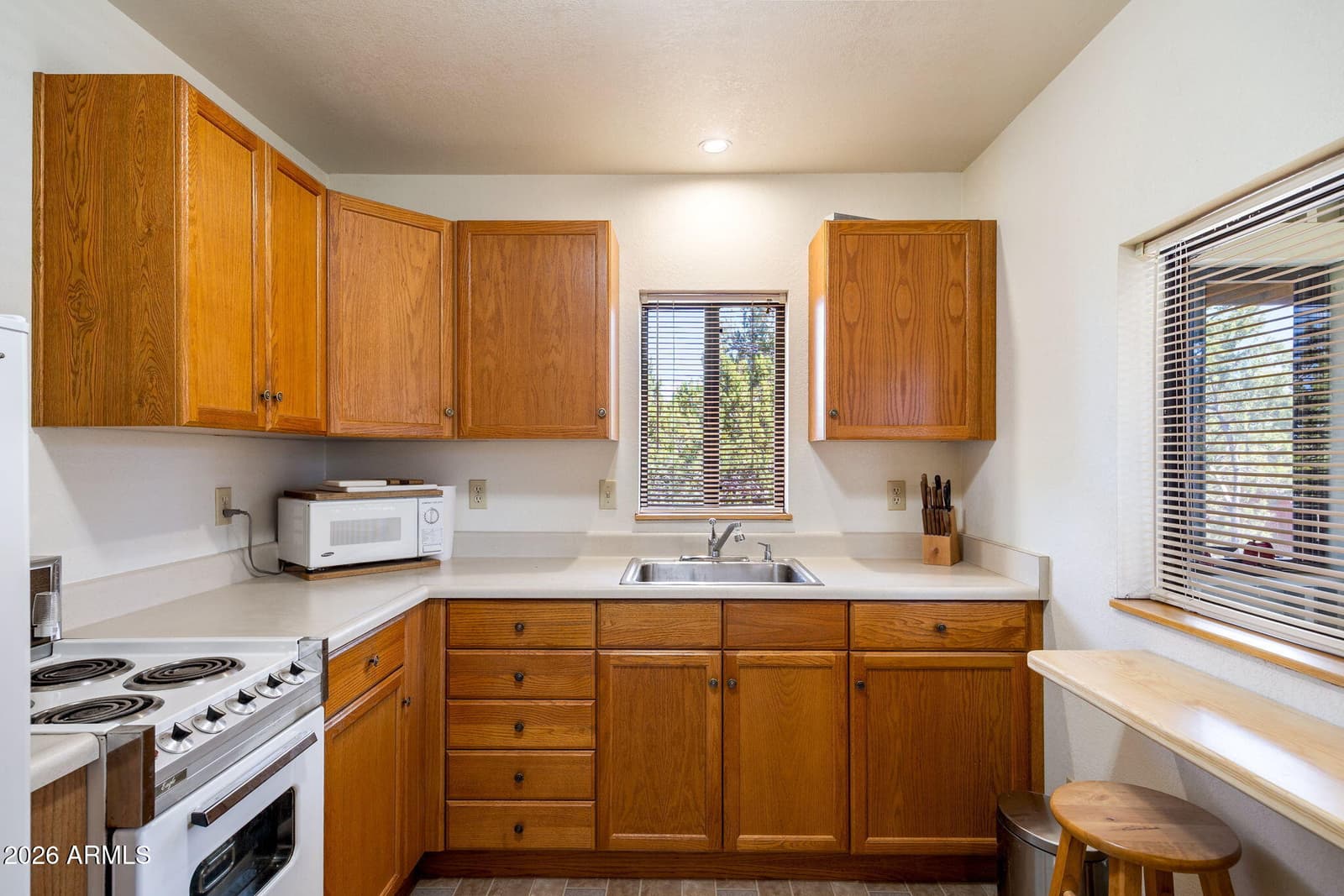 3563 STARLITE Drive, Overgaard, AZ 85933 — photo 13 of 29