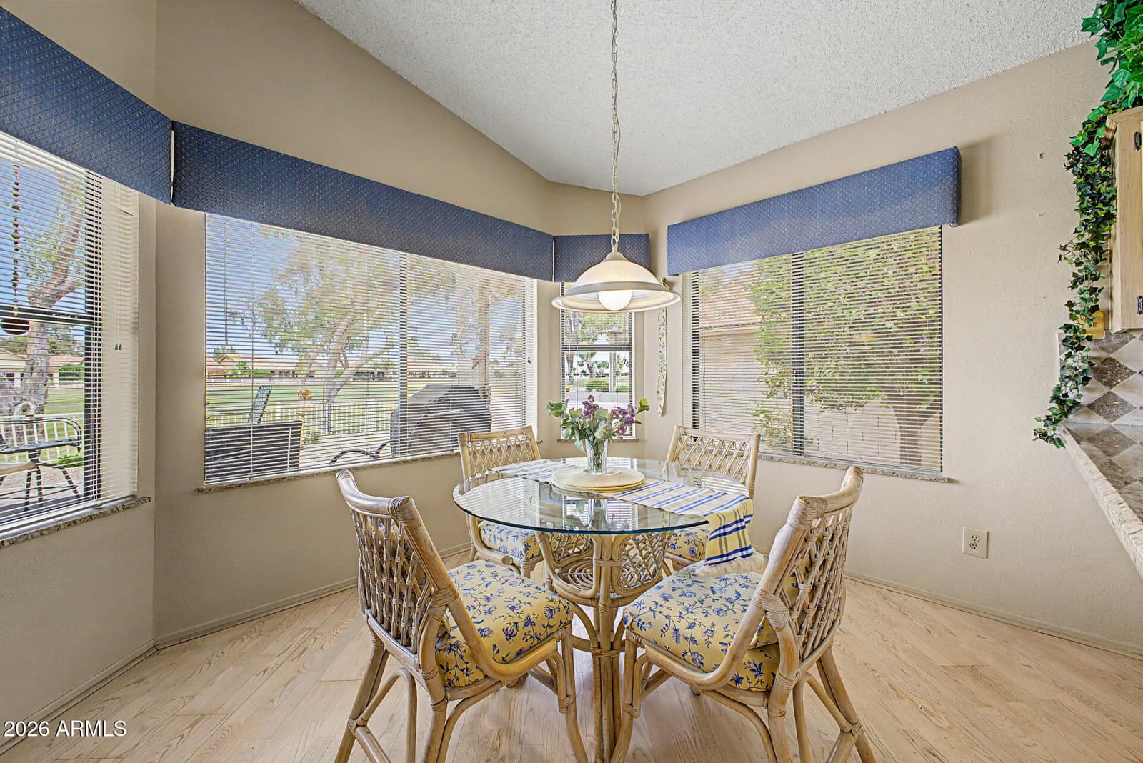 10914 E CHESTNUT Drive, Sun Lakes, AZ 85248 — photo 11 of 26