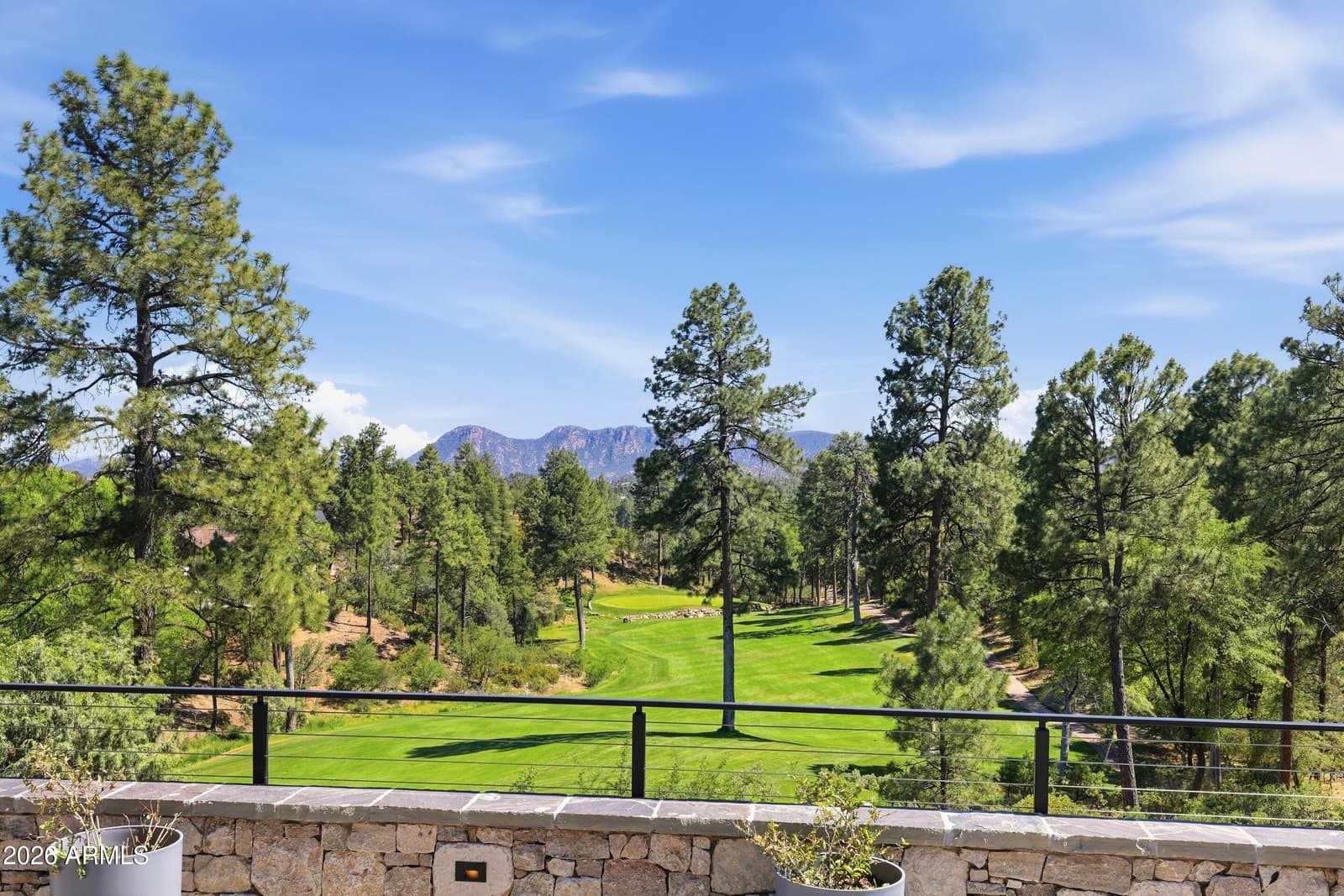 909 N INDIAN PAINTBRUSH Circle, Payson, AZ 85541 — photo 26 of 55