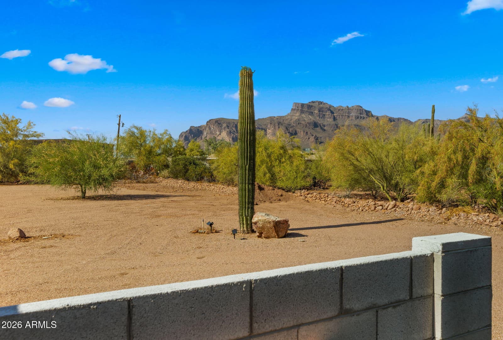 5770 E 22nd Avenue, Apache Junction, AZ 85119 — photo 63 of 96
