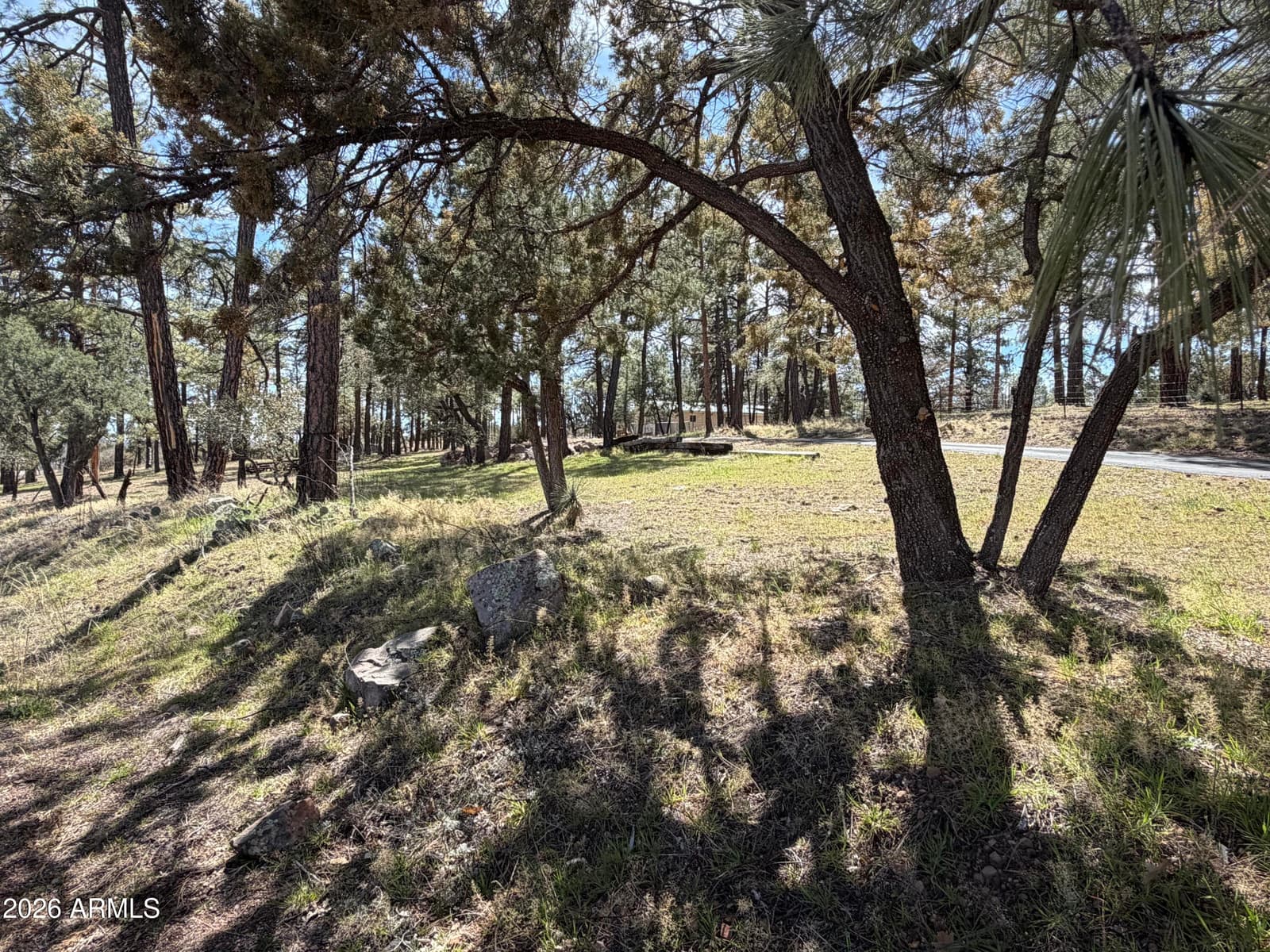 988 TIMBERLAND Road, Show Low, AZ 85901 — photo 78 of 88