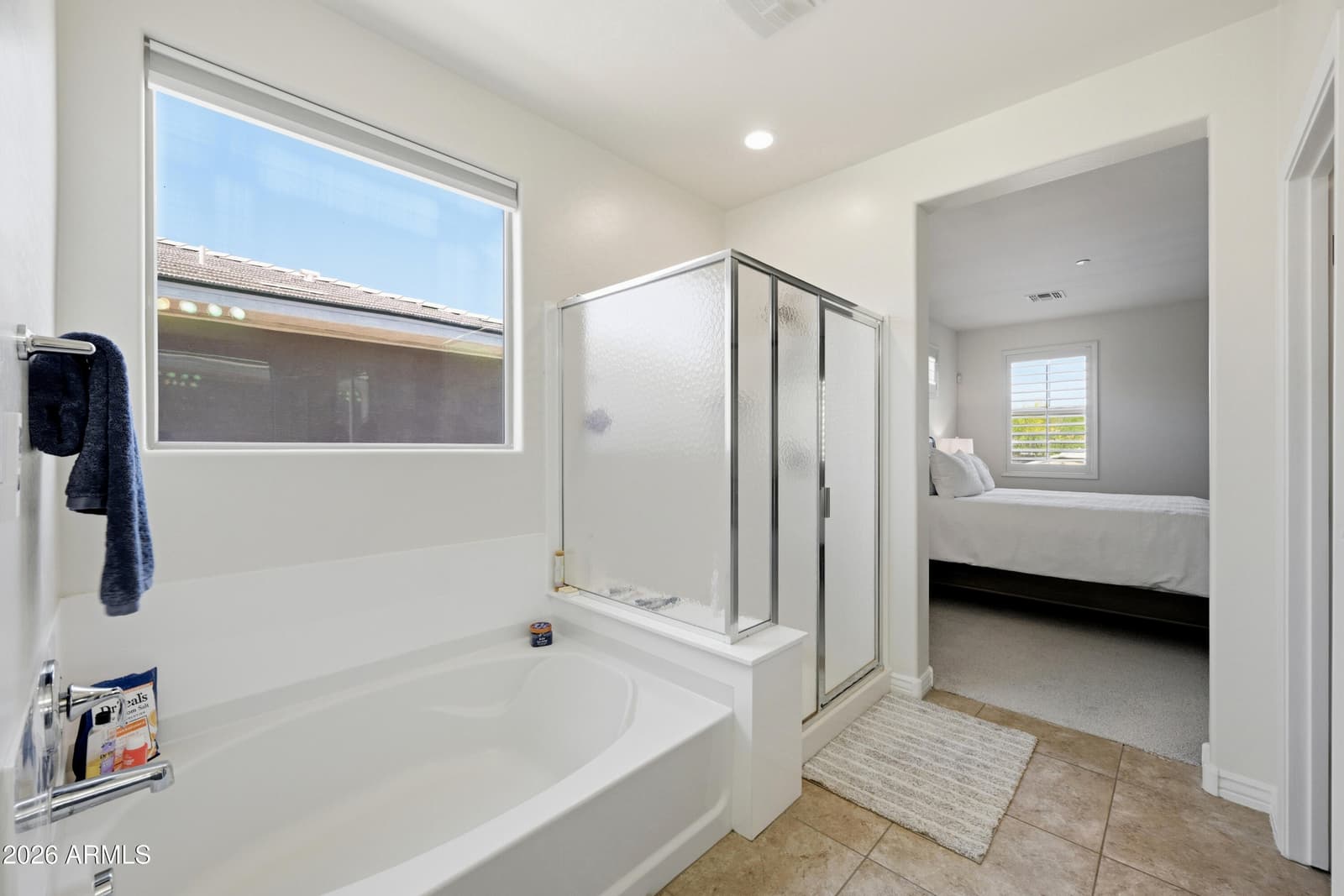 31667 N 131ST Avenue, Peoria, AZ 85383 — photo 32 of 41