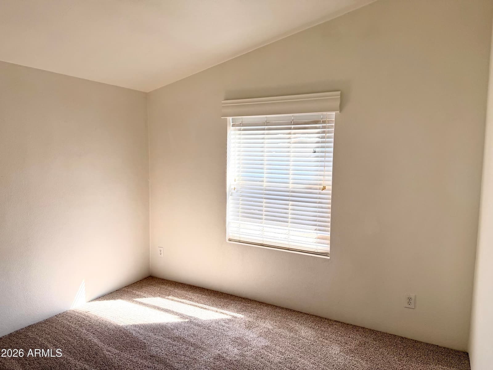 2122 MEADOW Lane, Overgaard, AZ 85933 — photo 18 of 23