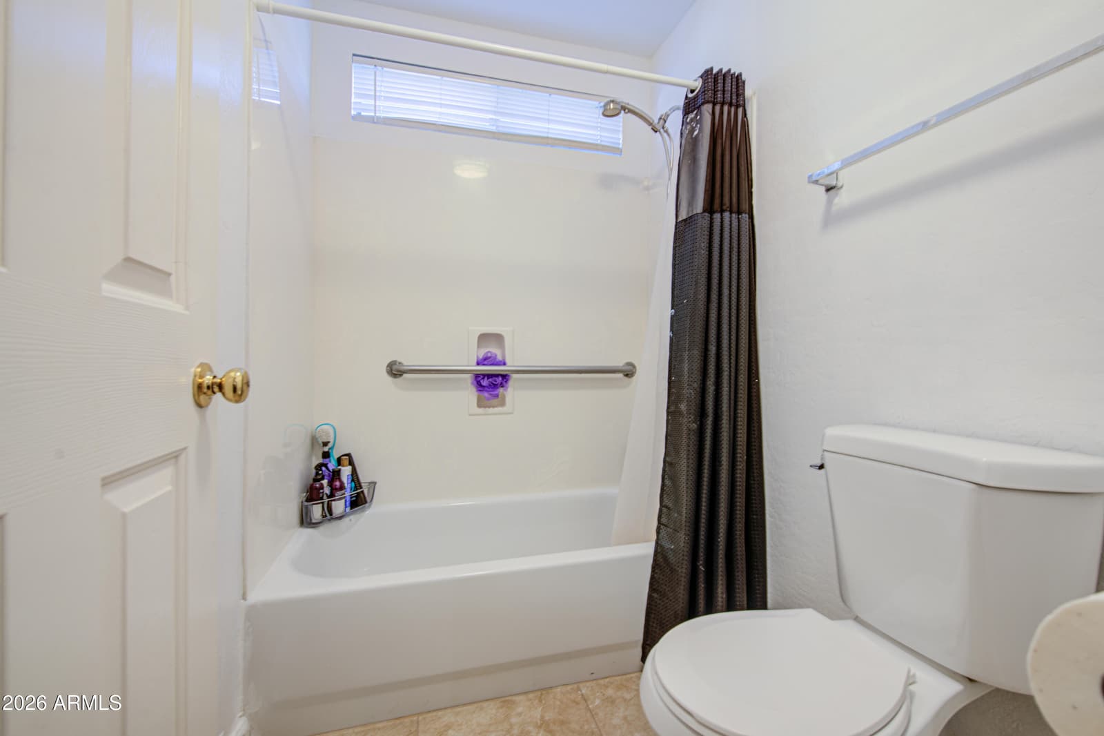 12441 W SCOTTS Drive, El Mirage, AZ 85335 — photo 24 of 48