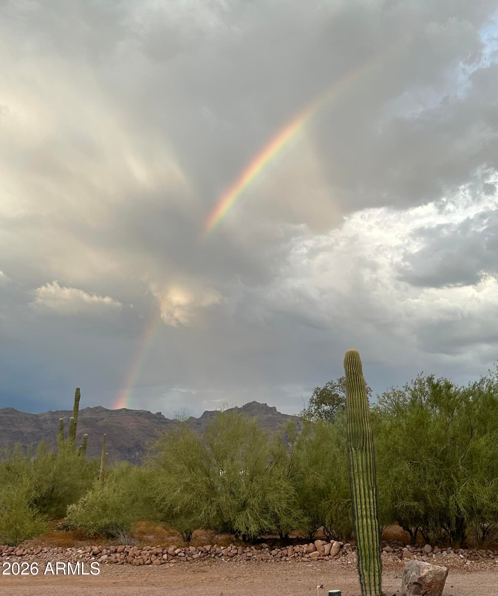 5770 E 22nd Avenue, Apache Junction, AZ 85119 — photo 93 of 96