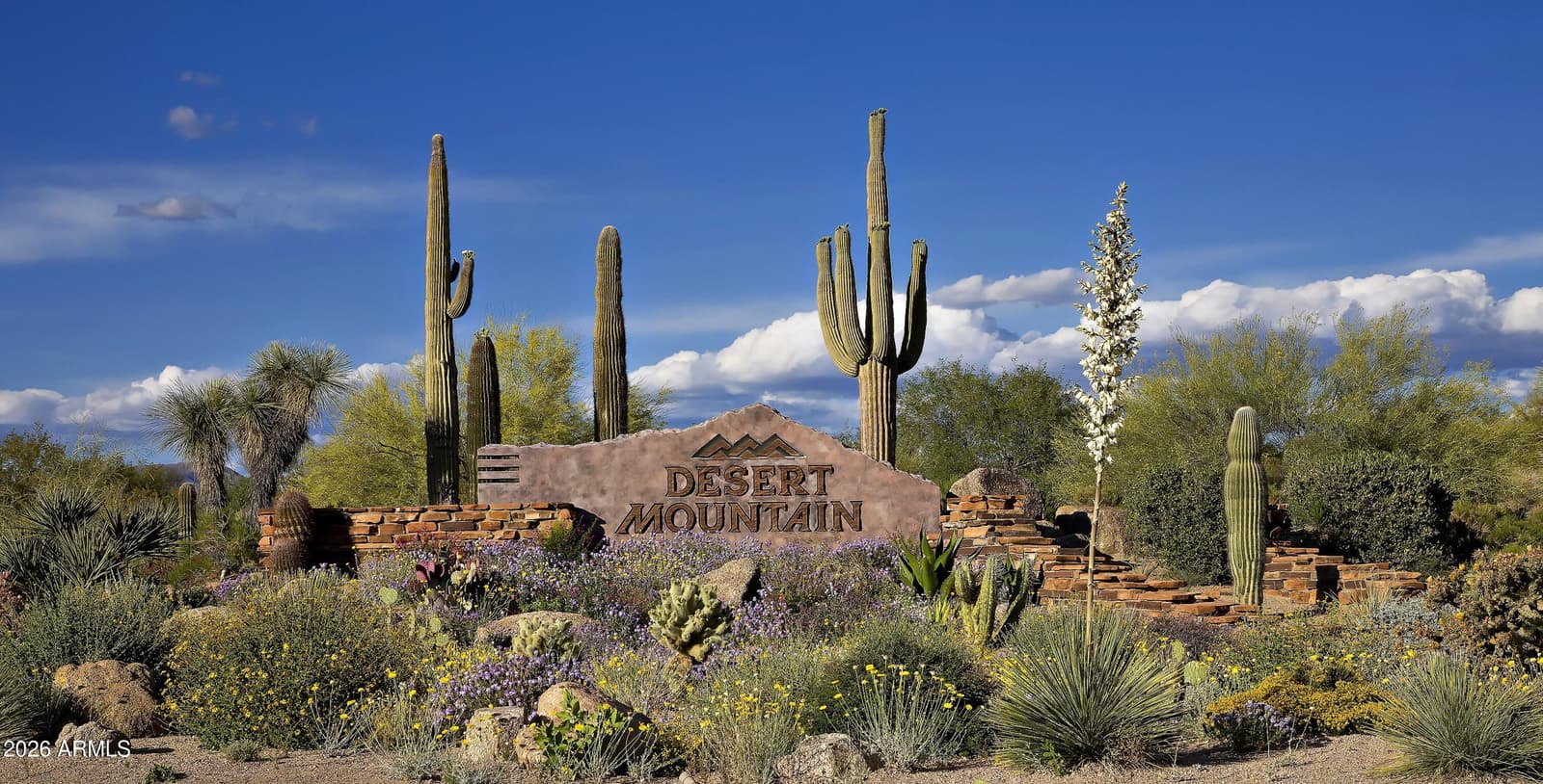 40635 N 109TH Place, Scottsdale, AZ 85262 — photo 49 of 60