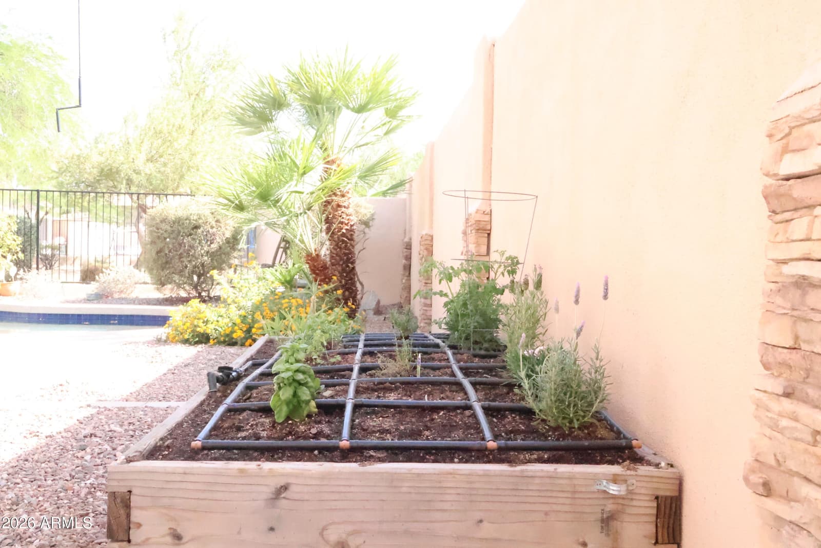 1019 E MONONA Drive, Phoenix, AZ 85024 — photo 36 of 43