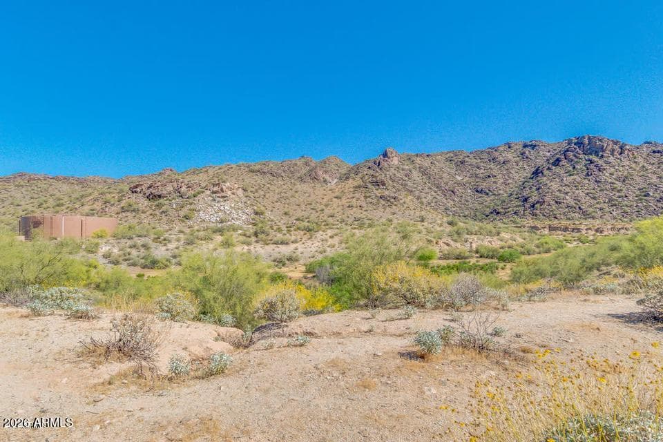 9909 S 6TH Place, Phoenix, AZ 85042 — photo 39 of 41