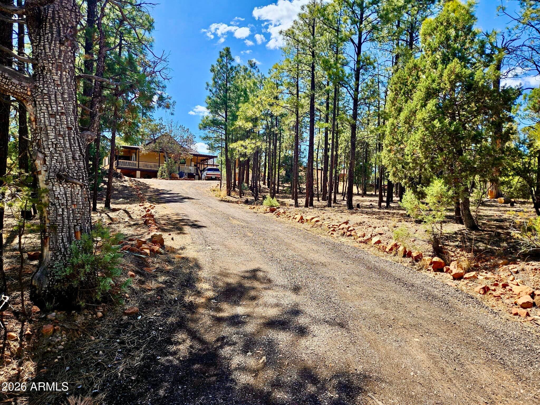 2060 GILBERT Lane, Overgaard, AZ 85933 — photo 87 of 87