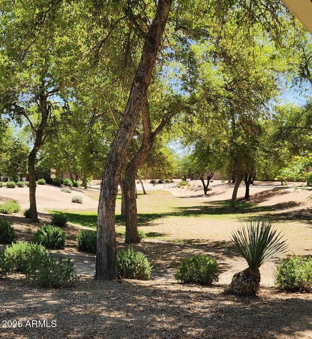 16042 W Durango Street, Goodyear, AZ 85338 — photo 37 of 46