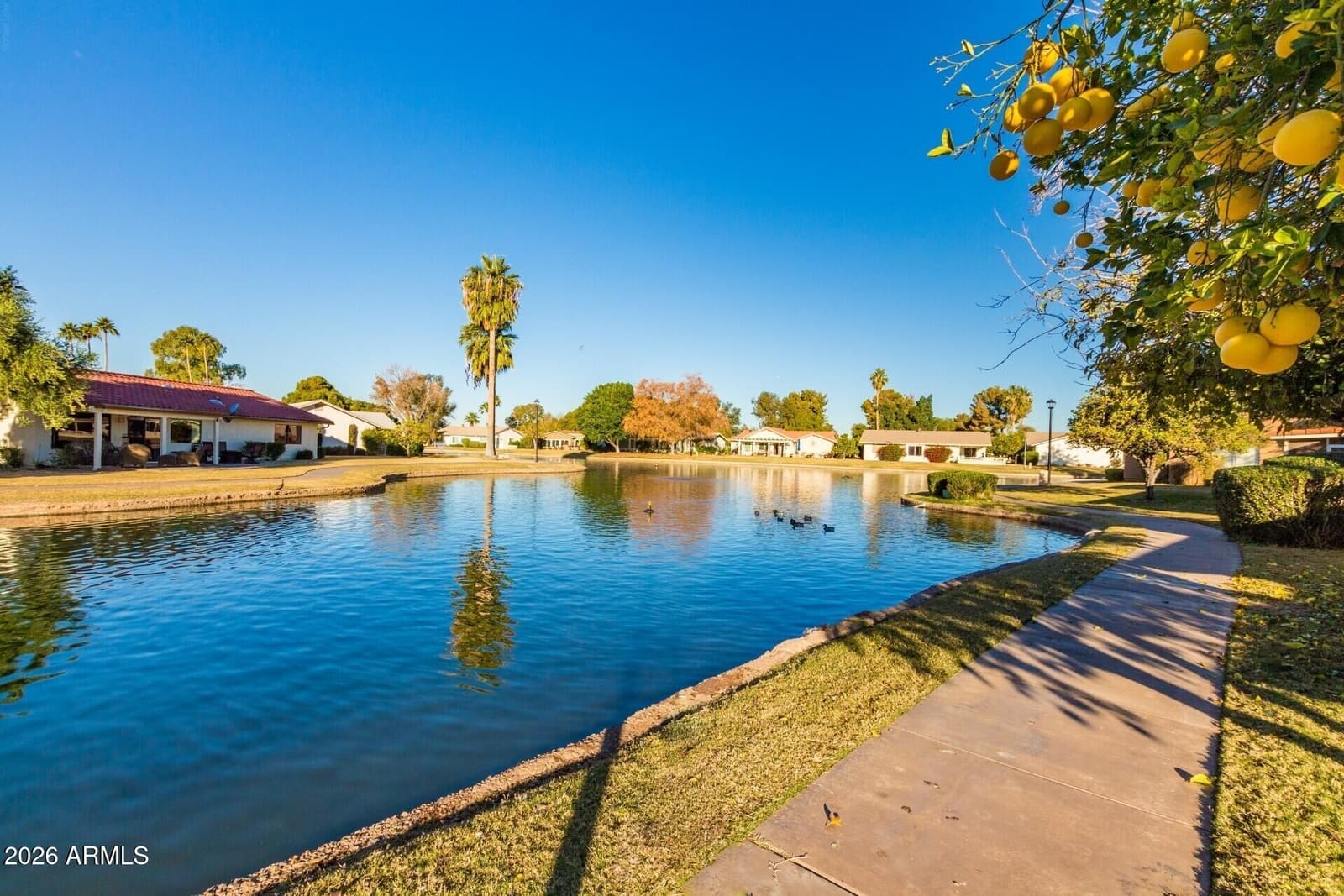 2749 Leisure World, Mesa, AZ 85206 — photo 40 of 63