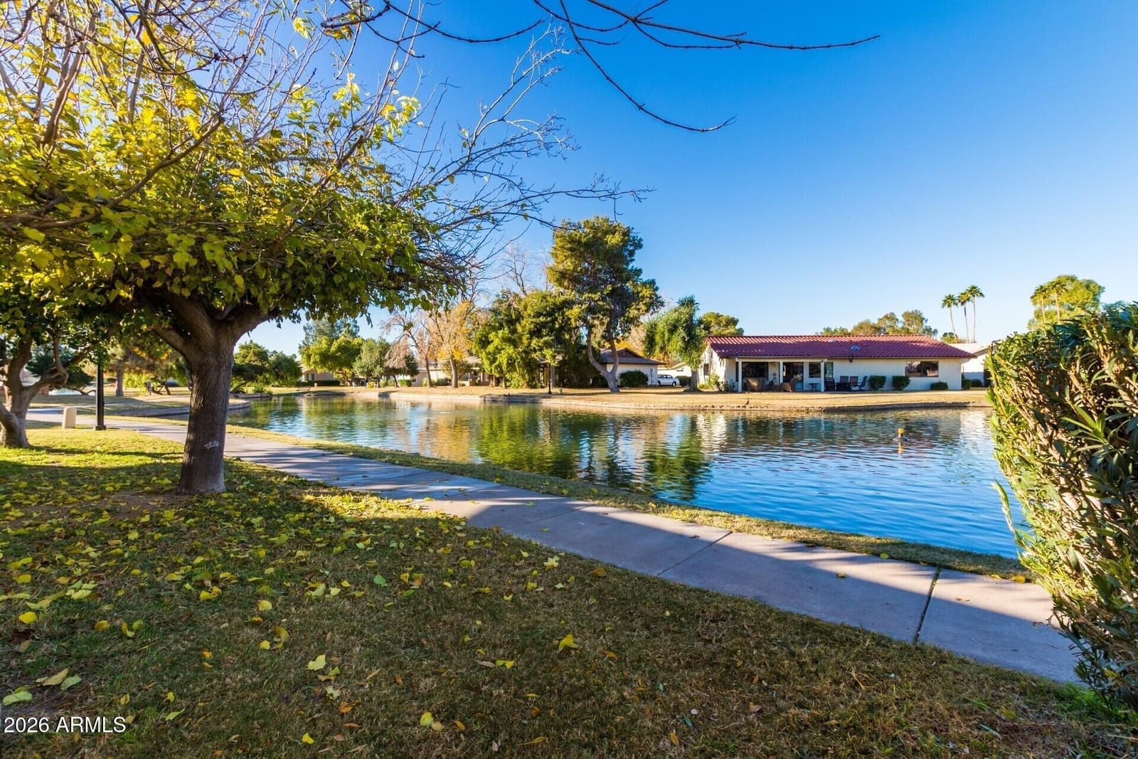 2749 Leisure World, Mesa, AZ 85206 — photo 41 of 63