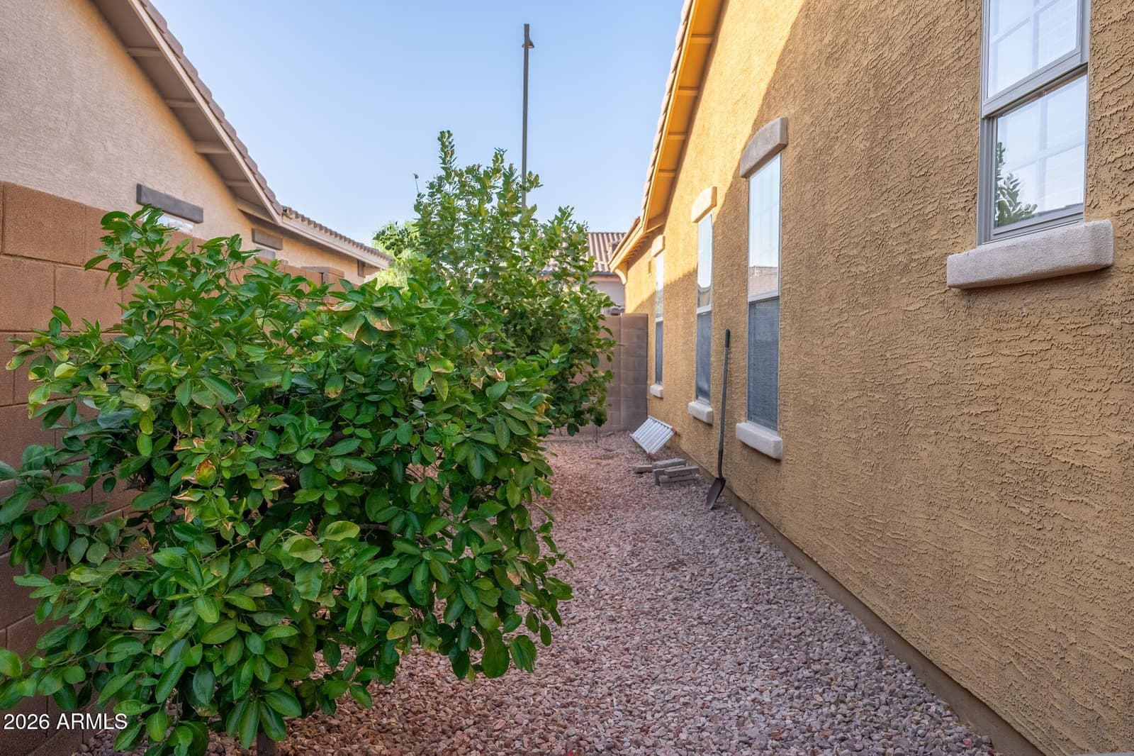 15959 W TOHONO Drive, Goodyear, AZ 85338 — photo 37 of 52