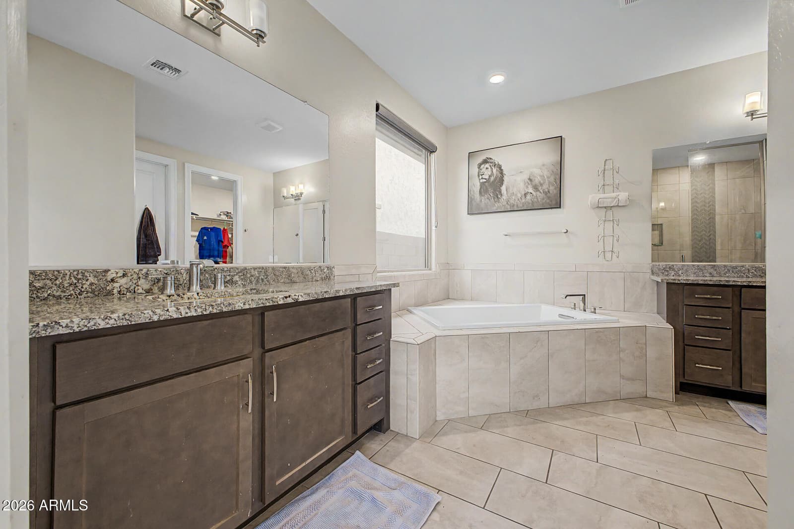 18399 W MOUNTAIN SKY Avenue, Goodyear, AZ 85338 — photo 17 of 46