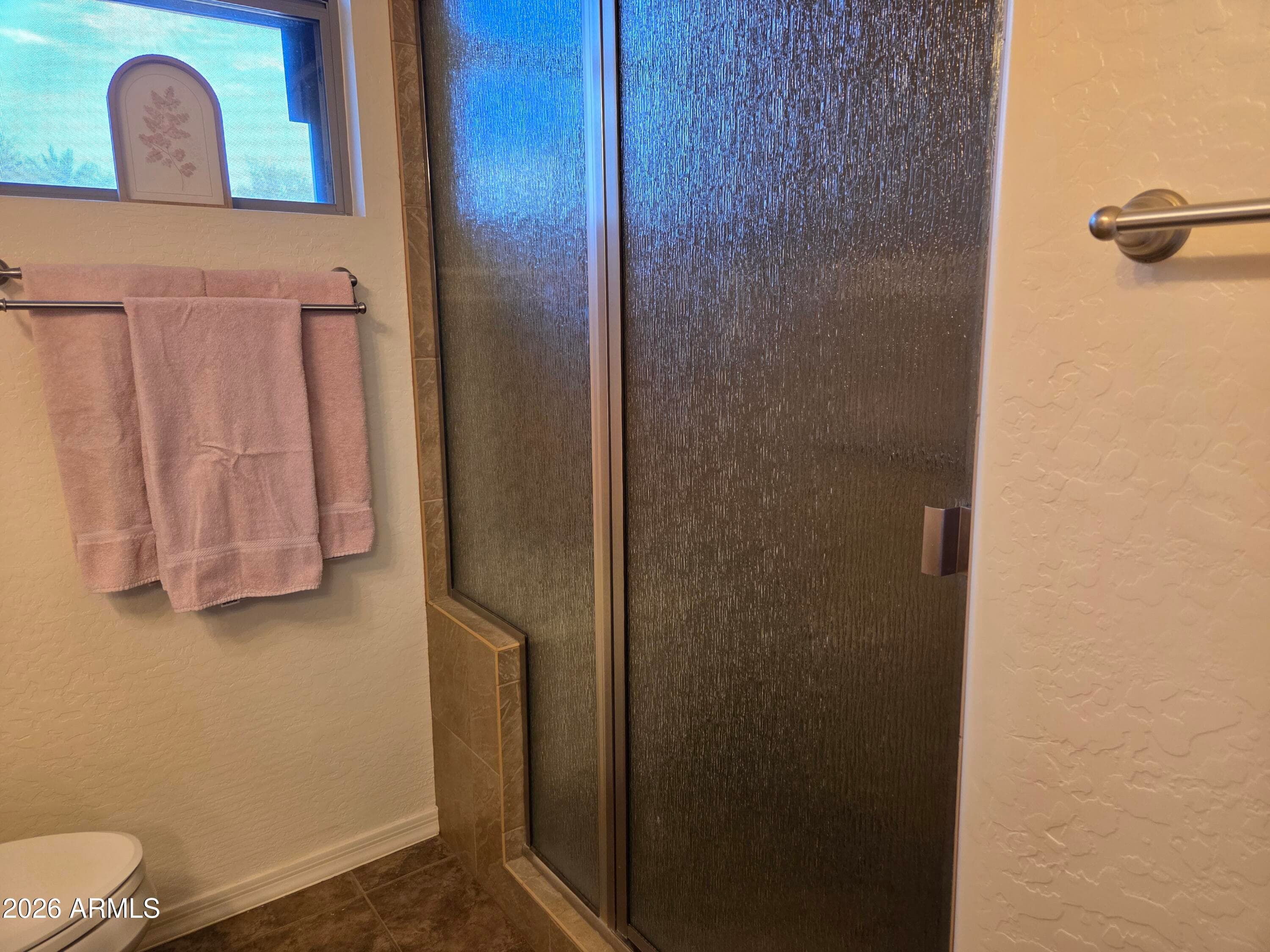 11357 N 161ST Avenue, Surprise, AZ 85379 — photo 10 of 38