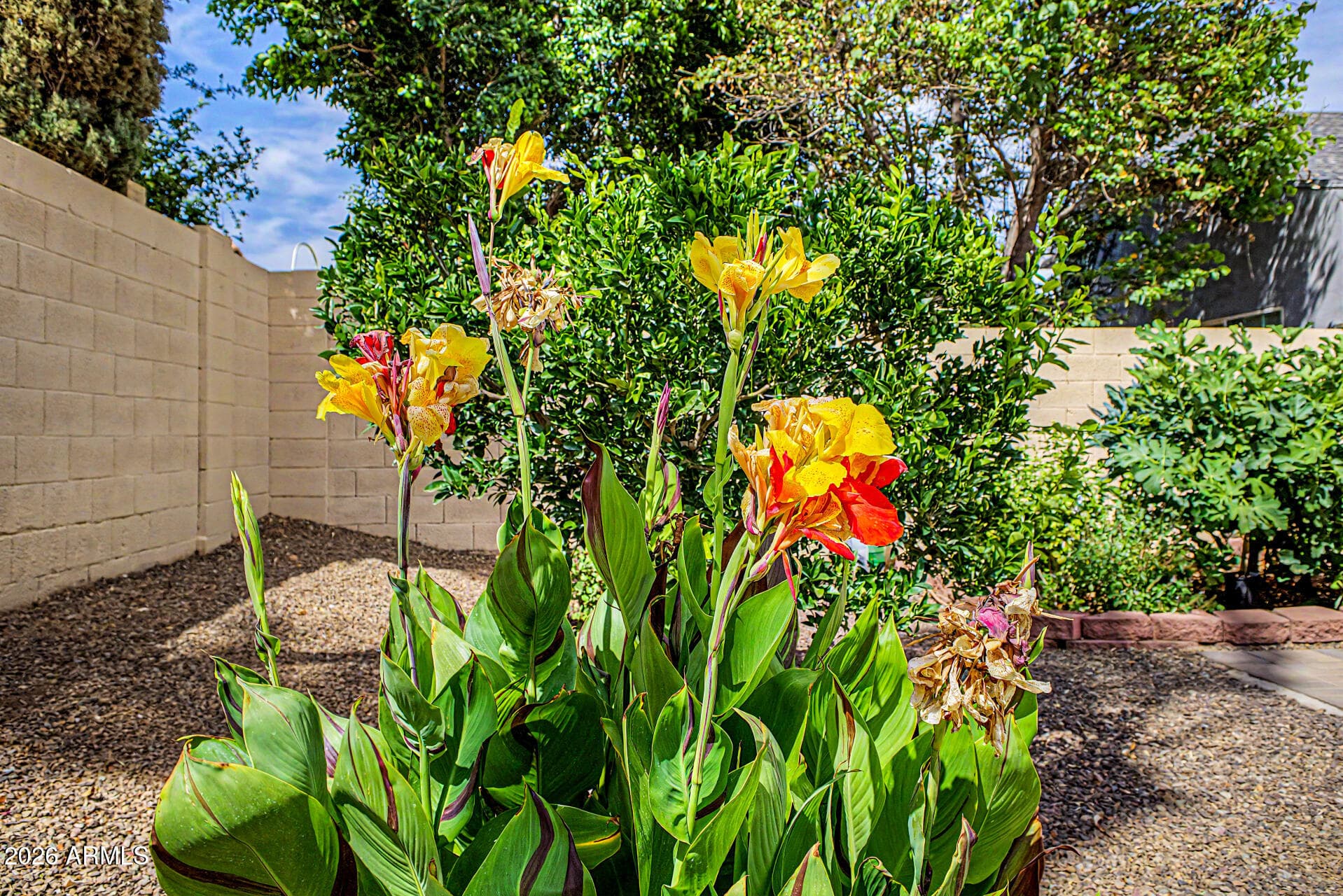 5002 E BLANCHE Drive, Scottsdale, AZ 85254 — photo 46 of 46