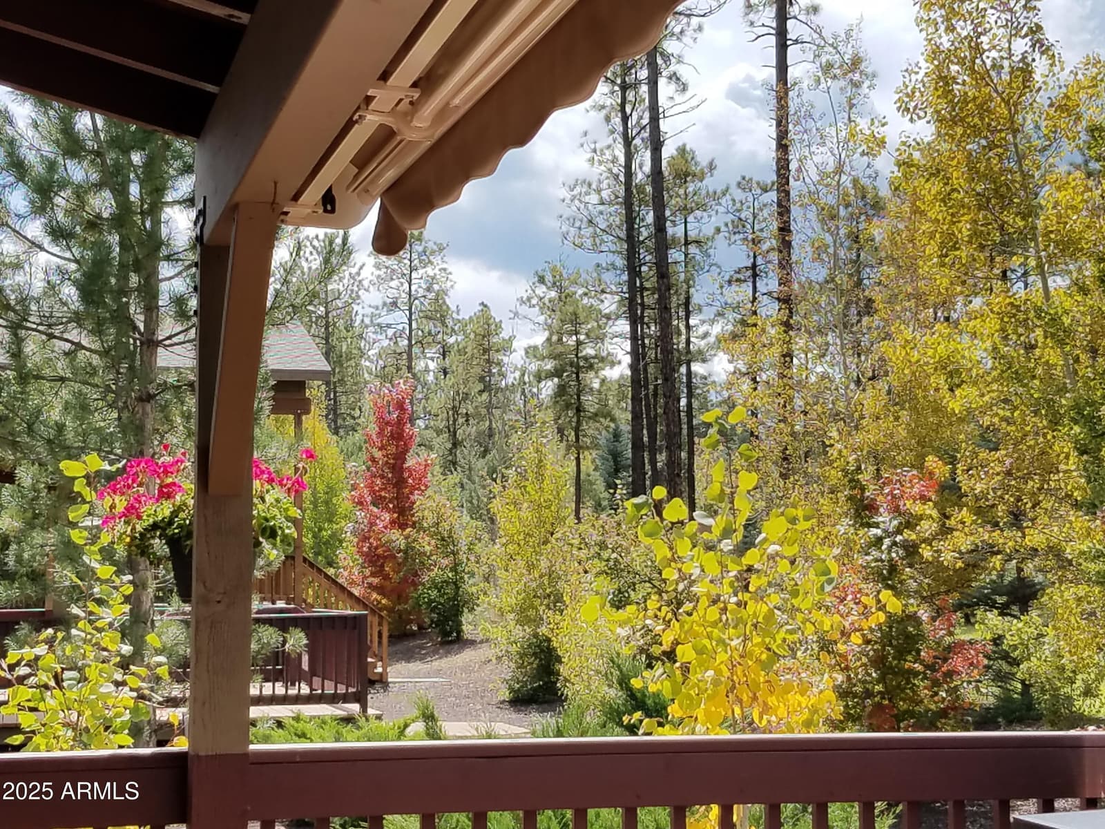 5410 N SAINT ANDREWS Drive, Lakeside, AZ 85929 — photo 10 of 29
