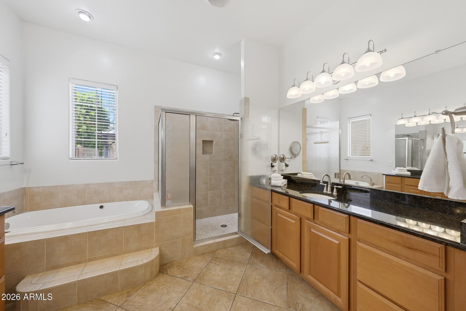 17375 W GRANT Street, Goodyear, AZ 85338 — photo 6 of 73