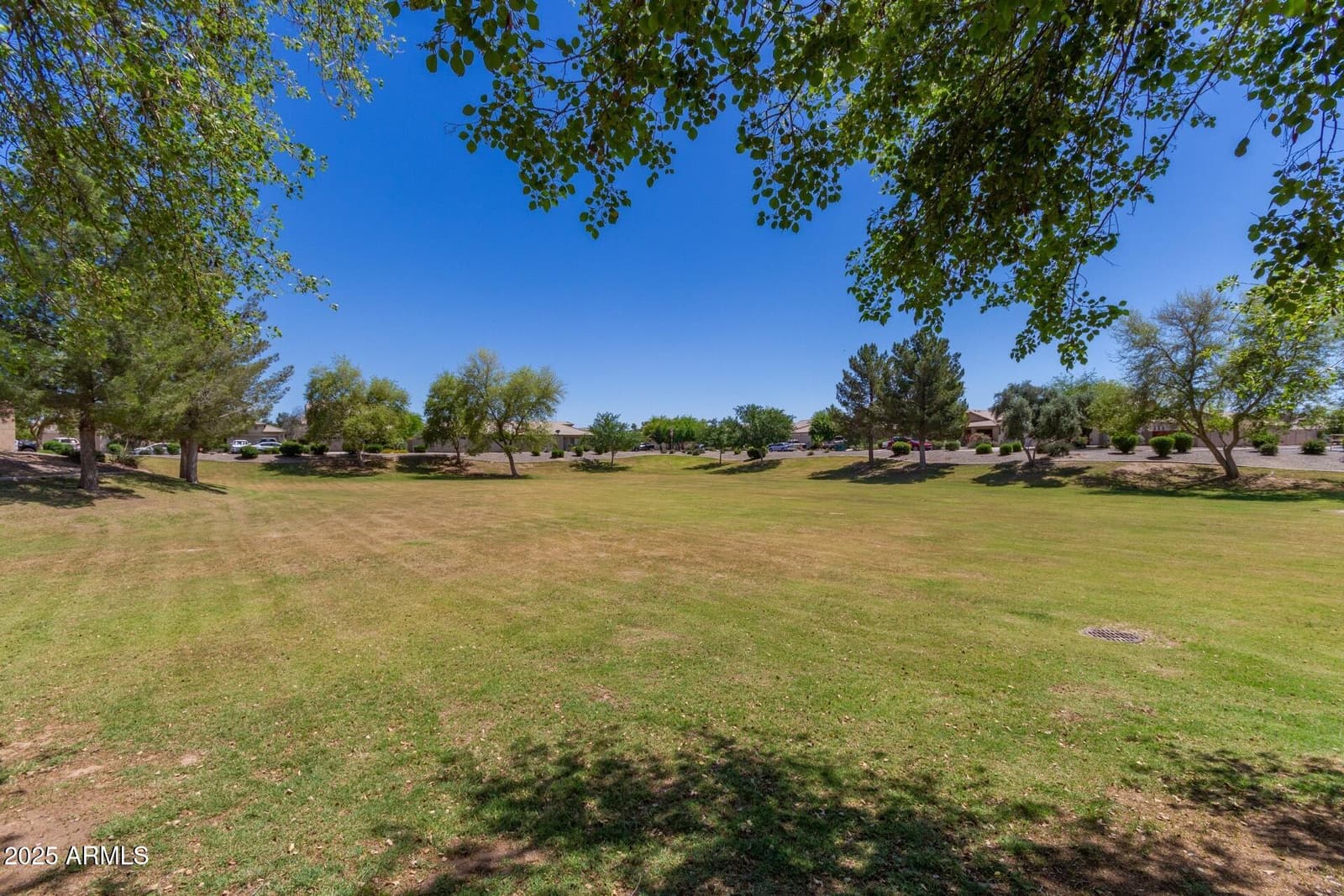 43501 W BLAZEN Trail, Maricopa, AZ 85138 — photo 49 of 60