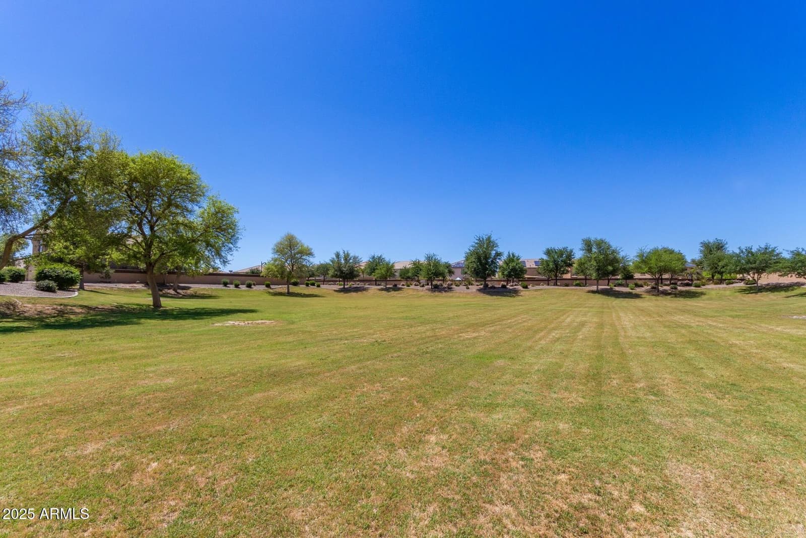 43501 W BLAZEN Trail, Maricopa, AZ 85138 — photo 54 of 60