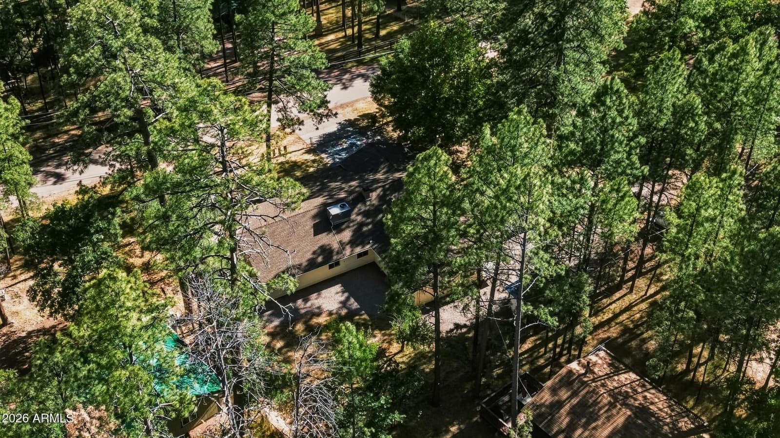 8438 W LUFKIN Drive, Pine, AZ 85544 — photo 47 of 49