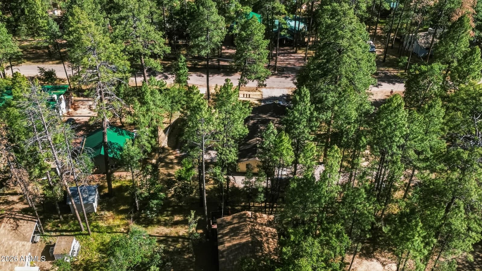 8438 W LUFKIN Drive, Pine, AZ 85544 — photo 48 of 49